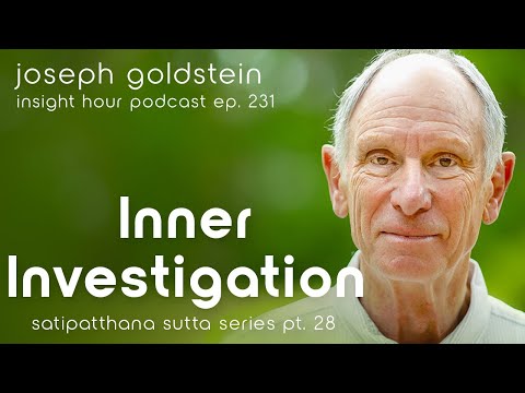 Joseph Goldstein Meditation: Techniques and Insights