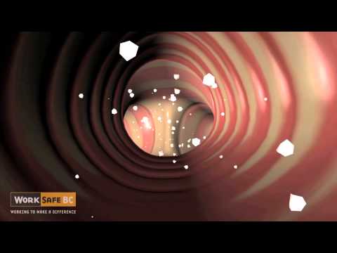 Breathing in Dust: Health Risks and Psychological Effects