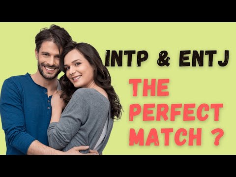 ENTJ and INTP: Compatibility and Interaction Dynamics
