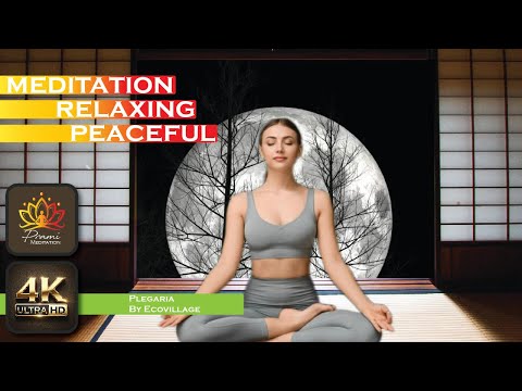 Moon Meditation: Embrace Peace Under the Night Sky
