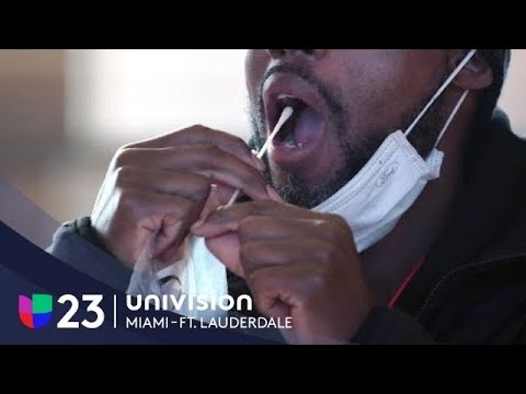 Pruebas de Covid Gratis: Dónde y Cómo Acceder a Ellas