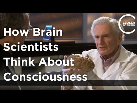 Science and Consciousness: Bridging Brain and Mind