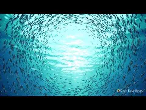 Calming Things to Soothe Your Mind and Body